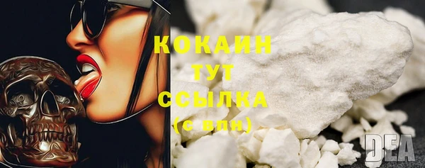 тгк Гусь-Хрустальный