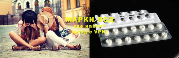 прущие крисы Гусев
