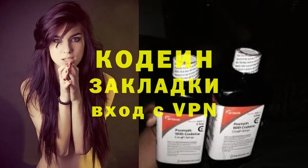молекула духа Гусиноозёрск