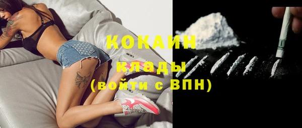 молекула духа Гусиноозёрск