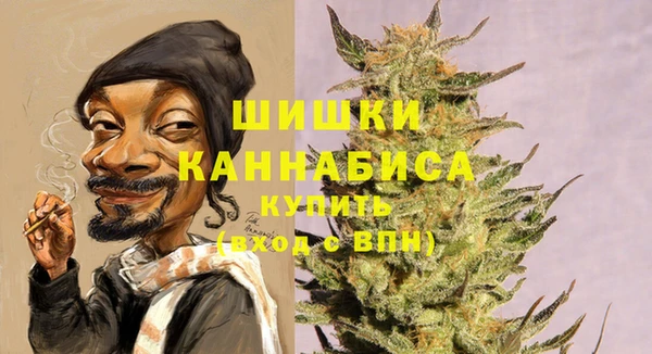 тгк Гусь-Хрустальный