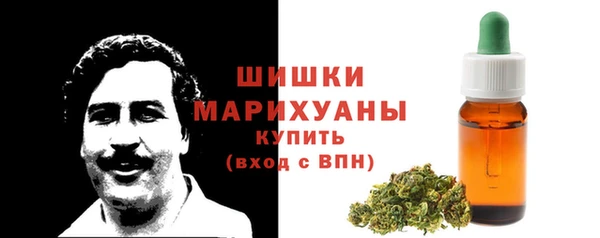 тгк Гусь-Хрустальный