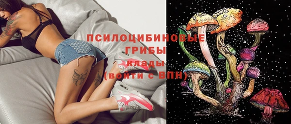 тгк Гусь-Хрустальный