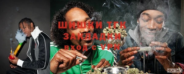тгк Гусь-Хрустальный