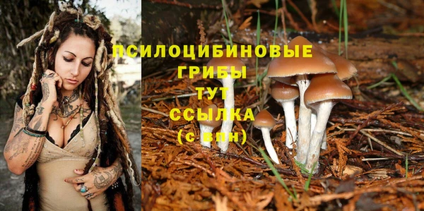 прущие крисы Гусев