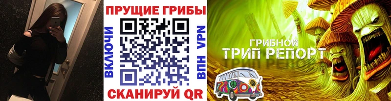 Псилоцибиновые грибы GOLDEN TEACHER  цена   Черепаново 